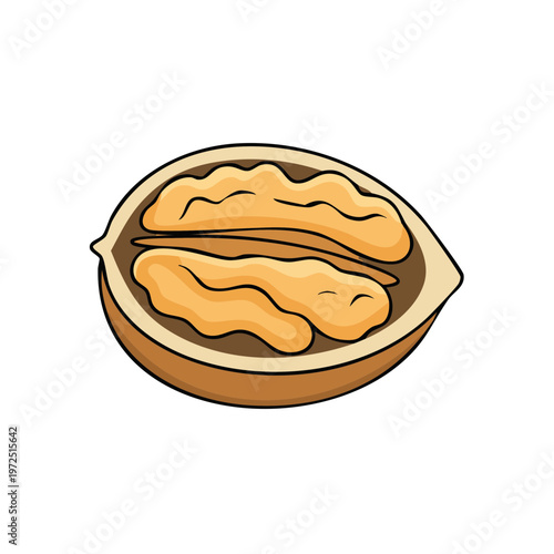 Halved Walnut Illustrating Intricate Inner Texture and Natural Shape