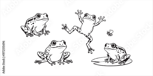 Cartoon frog characters set in various poses vector illustration