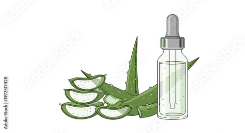 Meticulous illustration of a medicinal dropper bottle containing transparent herbal extract positioned beside fresh green aloe vera leaf segments on a pale surface.