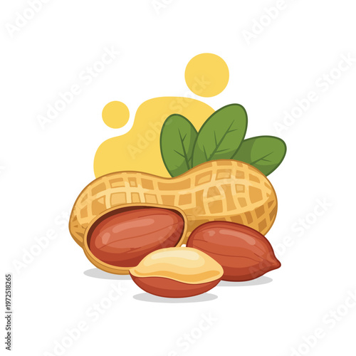 Fresh whole and shelled peanuts with green leaves illustration.