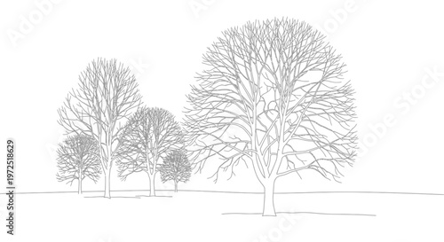 Line art illustration of bare trees in a minimalist winter landscape on isolated white background.