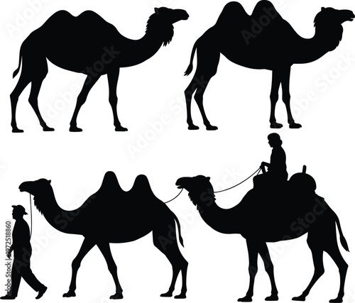 Camel silhouettes set, desert animals collection with rider and walking figures for travel design