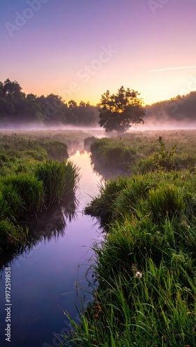 Serene Misty Morning Over Calm River Amid Lush Green Landscape