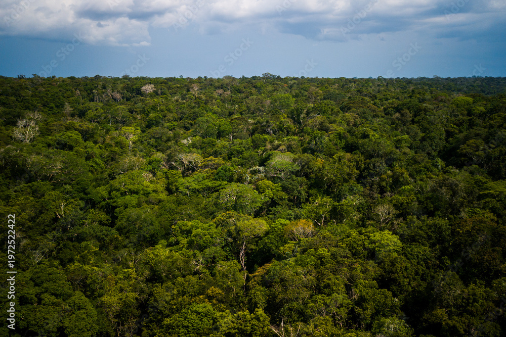 Fototapeta premium Aerial view of the Amazonia rainforest and blackwater river near Novo Airão City with flooded trees and lush tropical canopy