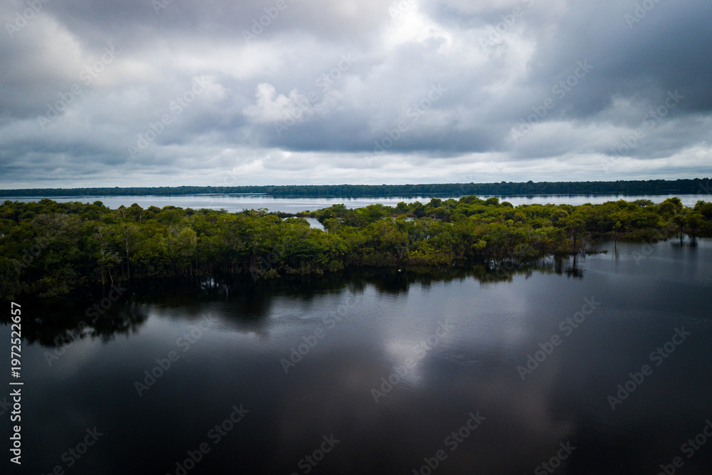 Fototapeta premium Aerial view of the Amazonia rainforest and blackwater river near Novo Airão City with flooded trees and lush tropical canopy