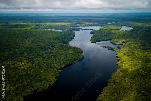 Aerial view of the Amazonia rainforest and blackwater river near Novo Airão City with flooded trees and lush tropical canopy