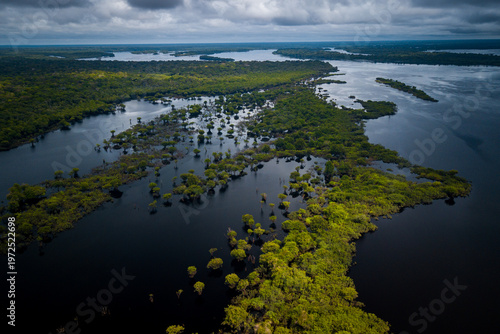 Bilde på lerret Aerial view of the Amazonia rainforest and blackwater river near Novo Airão City