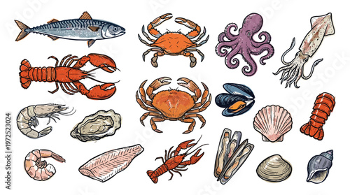 Assortment of fresh seafood and shellfish including fish lobster crab octopus squid shrimp oyster mussels and clams isolated on white background