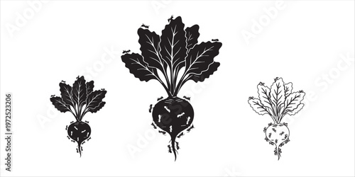 Beetroot with Ants Silhouette Illustration