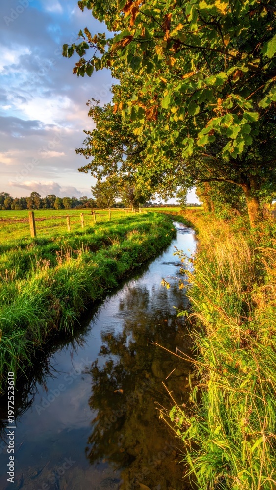 Fototapeta premium Tranquil Stream Surrounded by Lush Greenery Under a Bright Sky