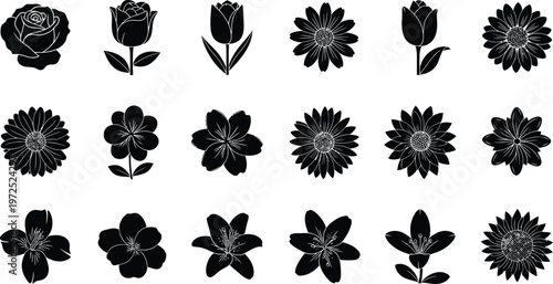 Collection of black silhouette flower including roses tulips daisies and sunflowers