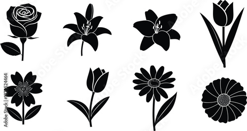 Collection of eight black silhouette flower including rose lily tulip and daisy