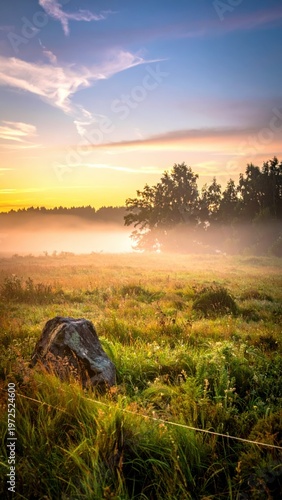 Serene Sunrise over Misty Landscape with Rocks and Trees