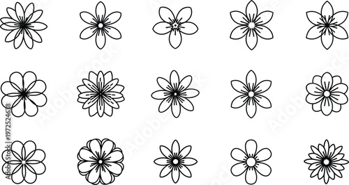 Collection of fifteen black outline flower with varying petal counts and styles black and white simple
