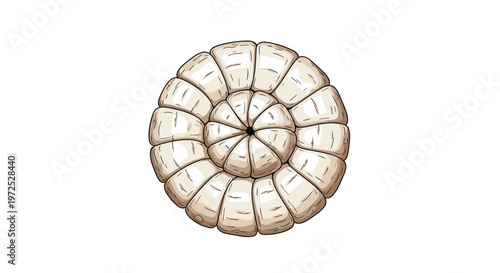 A top-down view of a cross-section of a bamboo shoot, revealing its concentric rings and fibrous texture, a common ingredient in Asian cuisine.