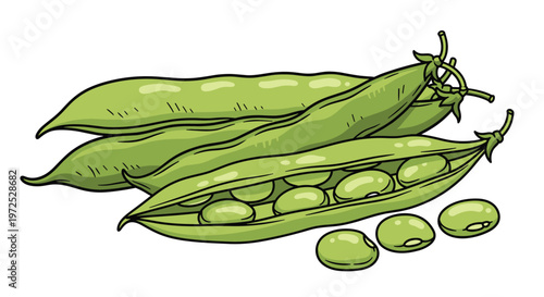 A grouping of fresh green broad bean pods, some whole and some split open to reveal the plump, light green beans inside, ready for consumption.