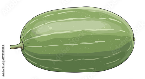 A large, elongated green winter melon, also known as ash gourd or wax gourd, with subtle striped markings, a common ingredient in Asian cooking.