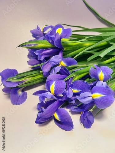 purple irises, spring flowers, bouquet of cut flowers