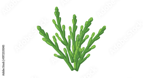 A cluster of vibrant green samphire or glasswort, a salty marsh plant often used in gourmet cooking, showcasing its unique succulent stems.