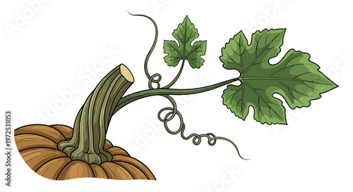 A detailed depiction of a pumpkin stem with a large, textured green leaf and curling tendrils, capturing the essence of autumn harvest and growth.