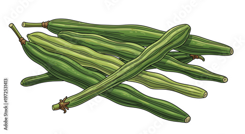 A cluster of fresh, elongated green moringa pods, also known as drumsticks, widely recognized for their nutritional benefits and culinary uses.