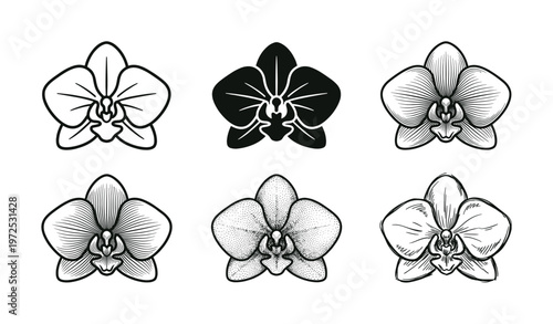 A set of six orchid flower icons. Collection of floral illustrations in various graphic styles like line art, silhouette, engraving. Perfect for logos, tattoos, or branding.
