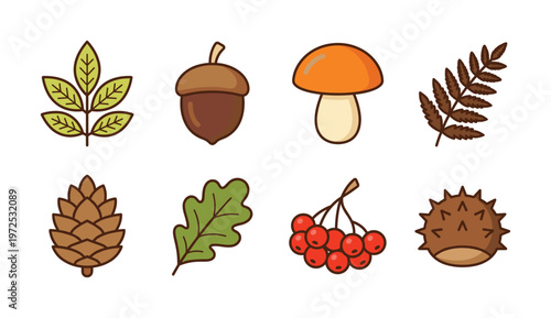 A cute vector icon set of autumn forest elements. Features acorn, mushroom, leaf, pinecone, berries. Ideal for seasonal design, web graphics, and stickers.