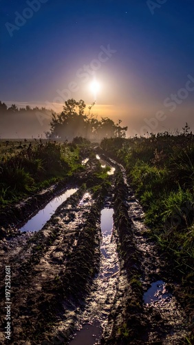 Serene Sunrise Over Misty Fields with Muddy Pathway and Reflections