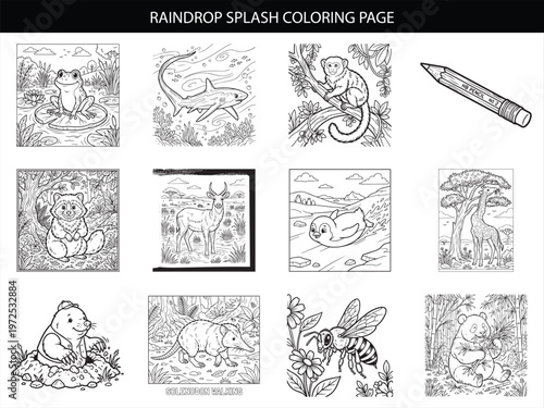 Twelve professional animal and stationery coloring page illustrations for kids including frogs sharks raccoons and pencil designs