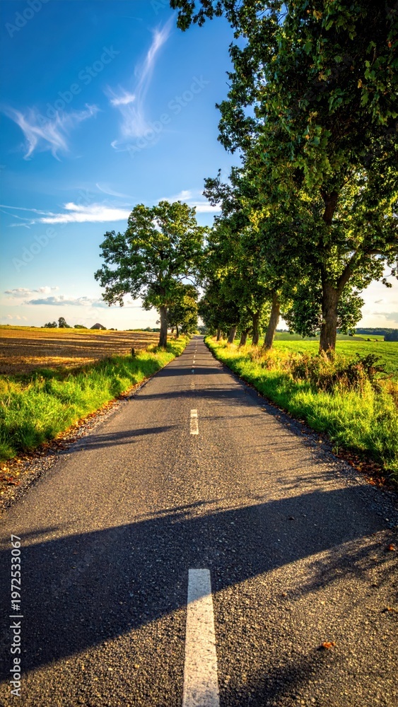 Fototapeta premium Scenic Country Road Surrounded by Lush Green Trees and Fields