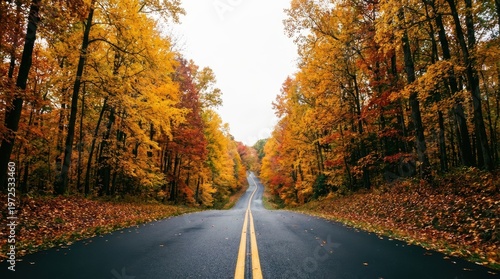 Scenic Winding Road Surrounded by Vibrant Autumn Trees and Colorful Foliage in Fall Season