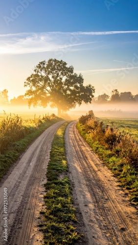 Serene Country Road Winding Through Misty Landscape at Sunrise