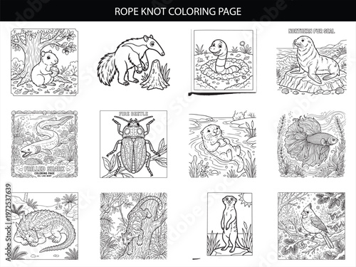 Rope knot and diverse animal collection for kids coloring page vector illustration set on white background