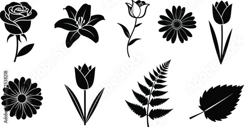 Black silhouette floral collection with rose lily tulip daisy fern and leaf white flower
