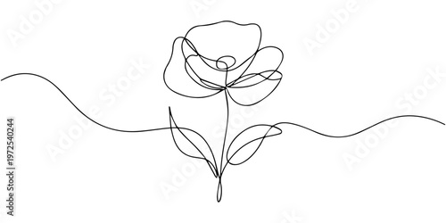 A beautiful minimalist one line drawing of two flowers growing in a field on a white background, Poppy flower continuous one line drawing, poppy flower continuous one line drawing, A beautiful minimal