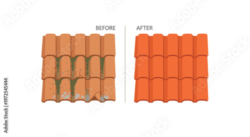 A clear before and after comparison demonstrates the dramatic results of professional roof cleaning on weathered orange clay tiles covered in green moss.