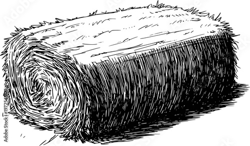 Hand Drawn of a Rolled Hay Bale a White Background straw agriculture