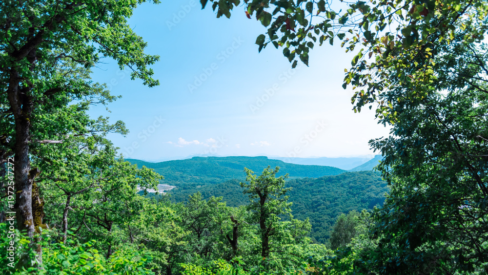Fototapeta premium panorama view of the landscape of the mountains and the forest