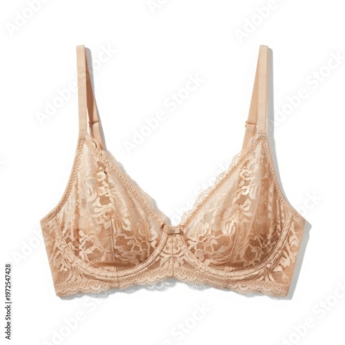 Beige Lace Full Coverage Bra Isolated on White Background