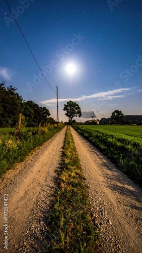 Serene Country Road Under Bright Moonlight in Rural Landscape