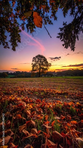 Serene Autumn Landscape with Orange Leaves and Sunset Skyline