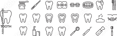 Dental care icons set featuring tooth anatomy braces and dentistry instruments for medical clinic services vector illustration.
