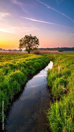 Tranquil Sunset Reflections Over Stream and Isolated Tree Landscape