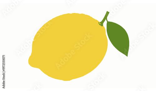 Fresh lemon vector illustration with whole fruit and leaf isolated on white for food and health design