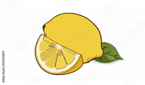 Hand-drawn fresh lemon vector illustration with sliced and whole fruit for food and beverage design