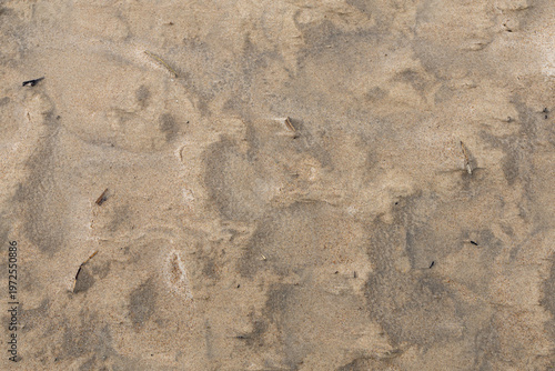 Fine sand from the Baltic Sea