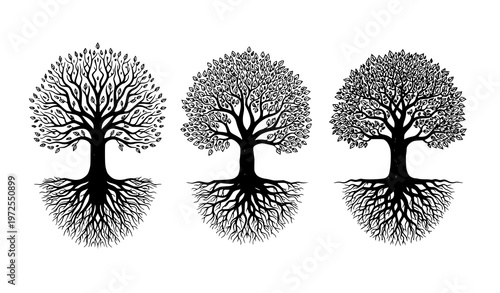 Decorative tree with roots vector set black and white botanical illustration of nature life concept