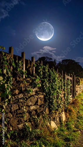 Serene Night Landscape with Moon Overgrown Stone Wall and Trees