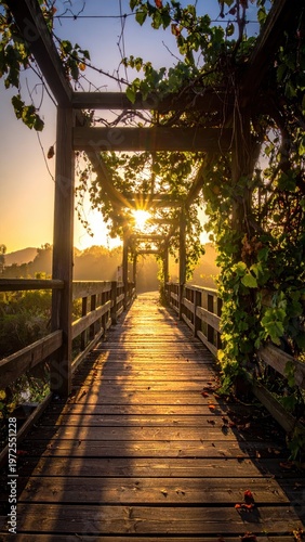 Serene Wooden Pathway Framed by Greenery at Sunset in Nature