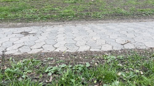 Legs of a passer-by in a park